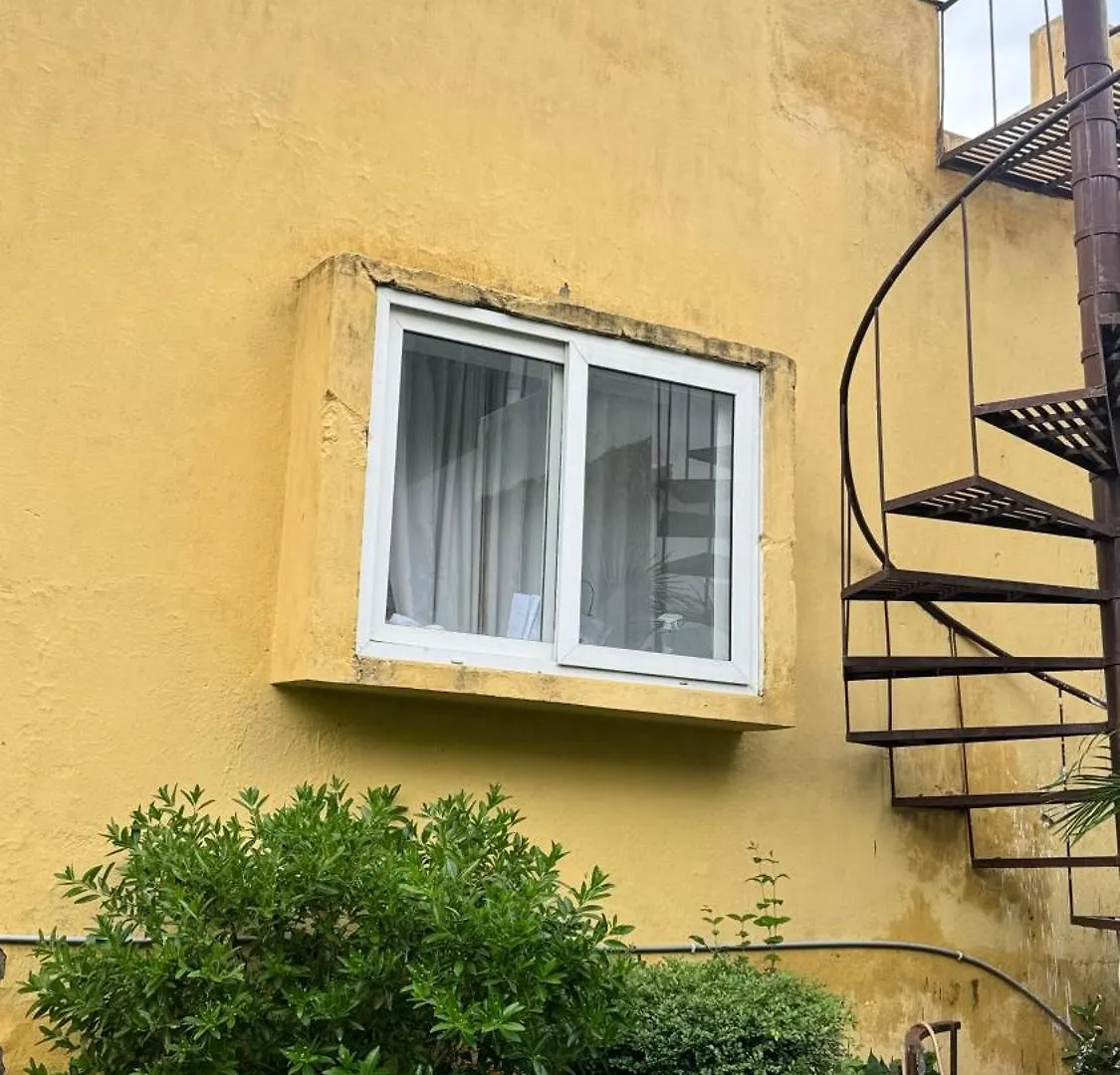The Great Escape Homestay 우다이푸르